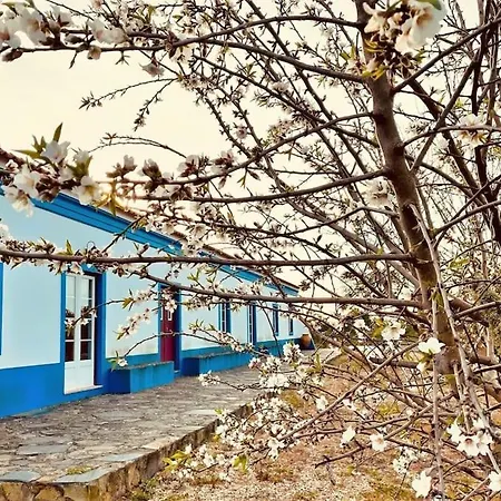 Gr Alentejo Hills Nature & Tranquility! Beach 35M Grandola Exterior photo