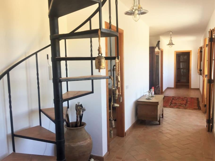 Villa Gr Alentejo Hills Nature & Tranquility! 35m *