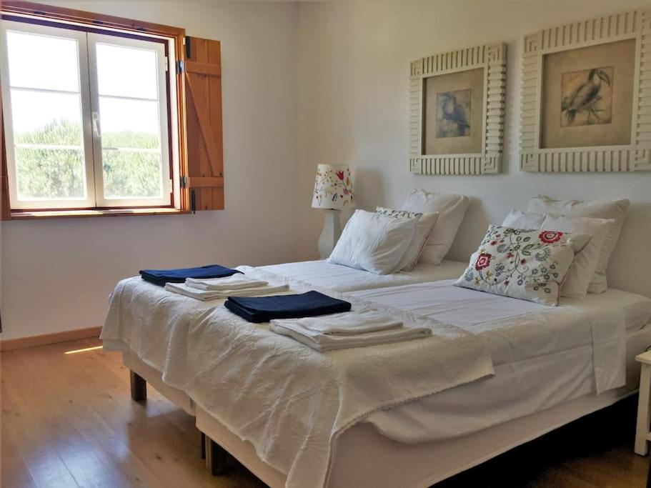 Villa Gr Alentejo Hills Nature & Tranquility! 35m *