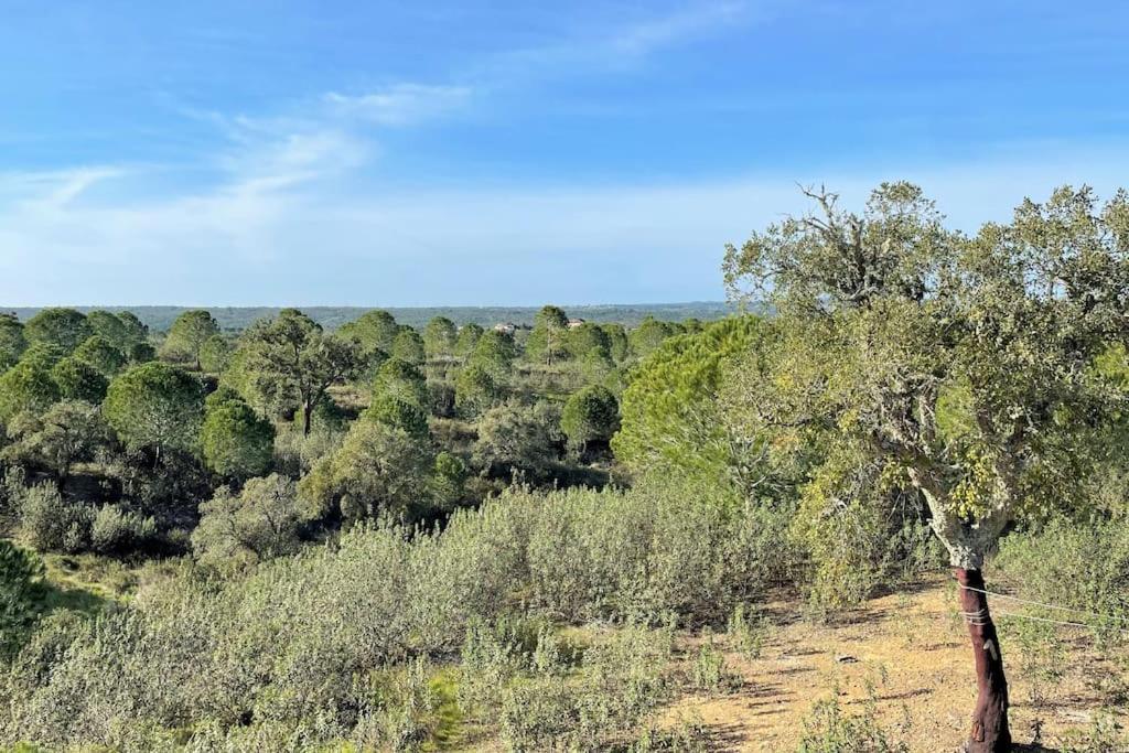 Gr Alentejo Hills Nature & Tranquility! 35m Villa Grandola