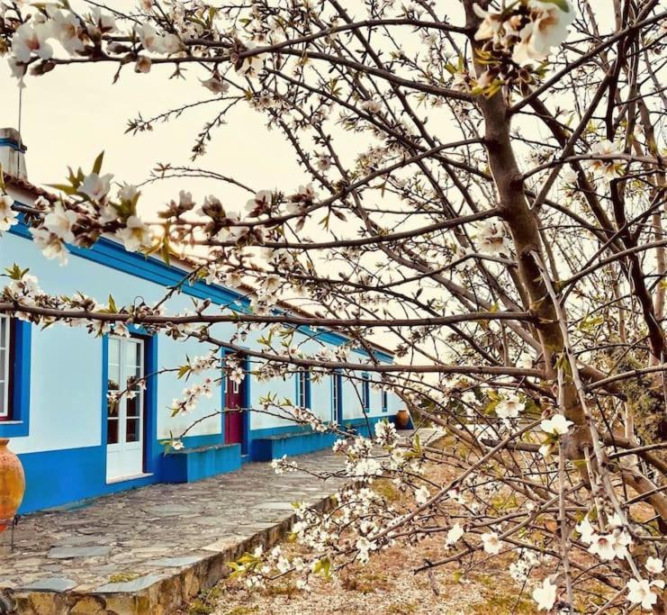 Gr Alentejo Hills Nature & Tranquility! 35m Villa *