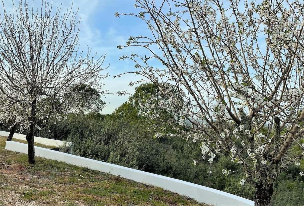 Gr Alentejo Hills Nature & Tranquility! 35m Grandola